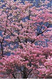 任天堂提醒用户请勿在高温环境下游玩Switch 2主机